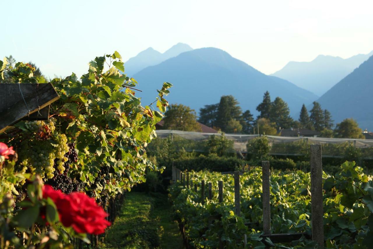 Home Suite Home Bed & Breakfast Merano Bagian luar foto